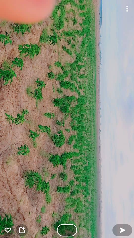 Zaahidiin agribusiness and operations, photo 30